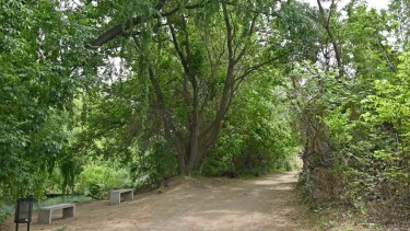 Un paseo único en Neuquén, ideal para hacer una tarde con sol