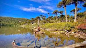 Fiesta del Pehuén en Aluminé, un plan completo para el fin de semana largo