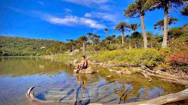 Fiesta del Pehuén en Aluminé, un plan completo para el fin de semana largo