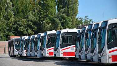 La empresa fue adjudicada con los recorridos dentro del Alto Valle en el 2006 y desde entonces hubo tres extensiones del contrato.