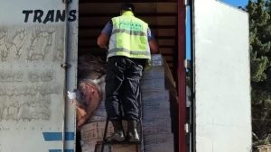 Decomisaron 88 costillares y diez corderos en Río Colorado, sobre Ruta 22