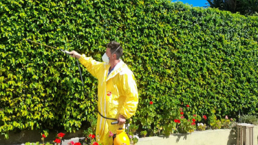 Dengue: realizan acciones de control y erradicación de criaderos de mosquitos en Río Colorado (Foto: Municipalidad de Río Colorado)