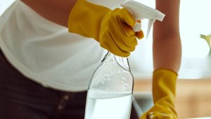 Empleadas domésticas: Cuáles son las normas que rigen la actividad laboral