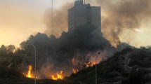 Imagen de Incendian intencionalmente una barda de Neuquén, a metros de la Ruta 7: «Es preocupante»