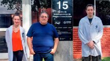 Imagen de Detectan compuestos no tóxicos para humanos que repelen a las cucarachas