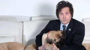 Adónde están los perros mastines de Javier Milei: El dato clave sobre su paradero