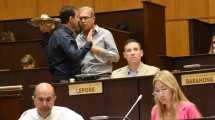 Imagen de Con voto dividido en el oficialismo, diputados de Neuquén rechazaron el DNU de Javier Milei