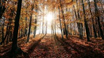 Imagen de Llega el equinoccio de marzo y se anuncia el otoño: qué es y qué efectos genera en la Tierra