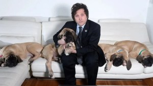 Tras las dudas, un exministro habló de los perros de Javier Milei: «Los escuché&#8230;»
