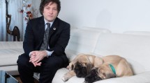 Imagen de Así es el lugar donde estarían los perros mastines de Javier Milei, bajo estricto cuidado