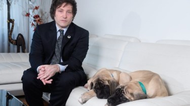 Los mastines de Javier Milei no han sido vistos desde que asumió la presidencia.-