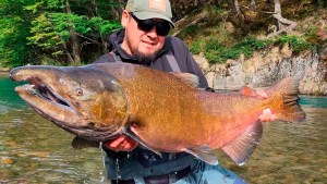 El salmón de 33 kilos en El Chaltén: fuga de Chile, pesca furtiva y contaminación, la historia detrás de un gran pique