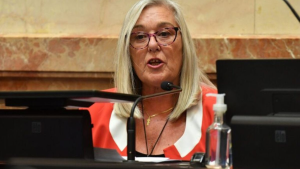 Senadora de Chubut que votó contra el DNU denunció amenazas de muerte: Weretilneck y Torres se solidarizaron