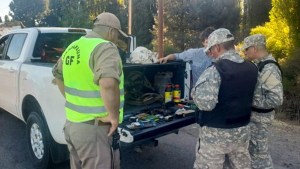 Caza furtiva en Junín de los Andes: secuestraron armas de fuego y cabezas de ciervo