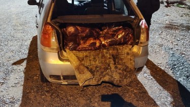 Transportaban 150 kilos de carne de caballo de manera ilegal: lo detuvieron en Puente Dique. Foto: gentileza