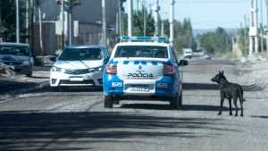 Narcomenudeo a las provincias, otra batalla por los recursos