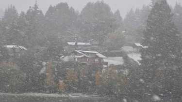 El Parque Nacional Nahuel Huapi advirtió sobre el alerta. Piden precaución al transitar. Foto Alfredo Leiva. 