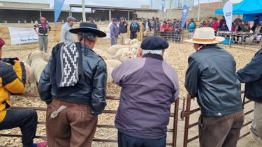 Se viene la 14° Feria Integral de la Producción en Zapala. Foto: gentileza