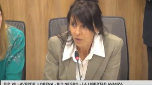 Villaverde preside la comisión de Energía en Diputados: el peso de definir prioridades