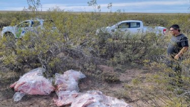 Escondieron más de 600 kilos de carne cerca de Catriel para evitar el control de sanidad y los descubrieron