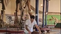 Imagen de 25 kilos de chocolate para emular al dinosaurio más grande hallado en Plaza Huincul