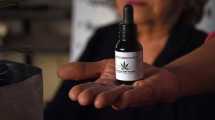 Imagen de Organizaciones de cannabis medicinal reclaman al gobierno de Milei: uno por uno los pedidos
