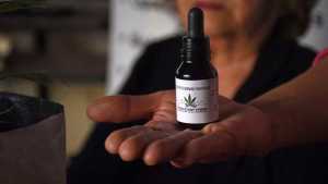 Críticas hacia Bullrich: confunde cannabis medicinal con narcotráfico y afecta a miles de pacientes