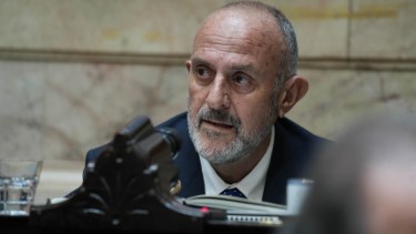 Capozzi: “El PRO no es una empresa de transporte ni una academia de idiomas”.