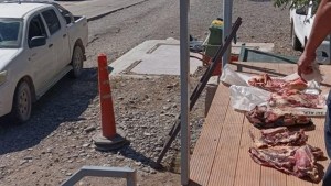 Transportaba carne en bolsas de arpillera y fue descubierto, en Roca