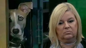 Virginia se cansó de Arturo, el perrito de Gran Hermano, y causó indignación: «Tiene que volar»