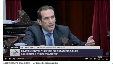 El diputado de la UCR apoyó la Ley Bases. Foto: Captura. 
