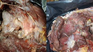 Encuentran más de 30 kilos de carne en mal estado en un comercio de Cipolletti 
