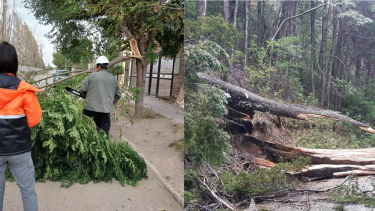 Los fuertes vientos en Río Negro y Neuquén dejaron destrozos.