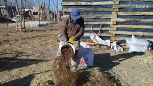 Enmiendas orgánicas para cuidar el suelo y el agua