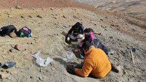 ¿Los dinosaurios convivieron con insectos en Patagonia?