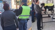 Imagen de Piden ayuda para «Jefa», la perrita que patrulla junto a la Policía el centro de Neuquén