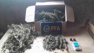Descubren una red narco que conectaba zonas de Buenos Aires con General Roca