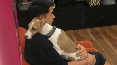 "Arturo" el perro rescatado que se convirtió en nuevo "hermanito" mostró su favoritismo por el jugador rionegrino, 