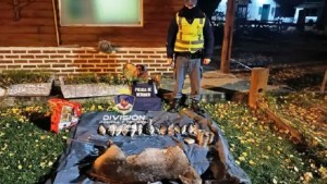 Caza furtiva: los detuvieron en la Ruta 40 con un ciervo y varias truchas, eran de Bariloche