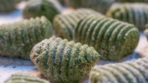 Probá estos deliciosos ñoquis ¡sin harina!: conocé la receta que te va a enamorar