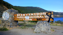 Imagen de Volcán Lanín y medidas de fuerza en el parque nacional: los servicios afectados en San Martín de los Andes