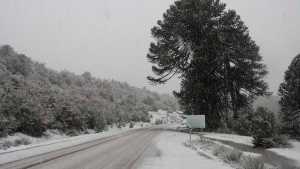 Video: llegó la nieve a Villa Pehuenia Moquehue y brilla con su aspecto encantador