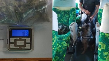 Iban de Neuquén a Buenos Aires con droga pero en Choele Choel un perro los descubrió 