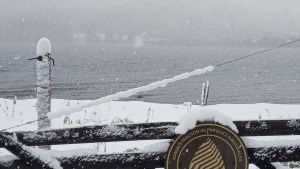 El Parque Lanín se vistió de blanco por primera vez en el año y regaló verdaderas postales con nieve