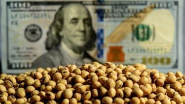 Piden devaluación. Los sojeros reclaman un dólar oficial más competitivo previo a la liquidación de la cosecha gruesa.