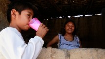 Imagen de Por la recesión económica, se desploma el consumo de leches y lácteos, alimentos esenciales