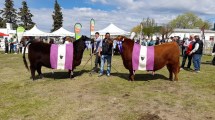 Imagen de Fiestas populares en Río Negro: tres eventos imperdibles para este fin de semana