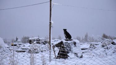Nieve en la Colonia Nueva Esperanza, al norte de la ciudad de Neuquén. (Foto: Matías Subat)