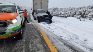 Piden precaución al transitar por la Ruta 40 entre Bariloche y El Bolsón