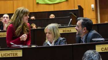 Lorena Parrilli de Unión por la Patria fue una de las que impulsó el proyecto. Foto: Cecilia Maletti.